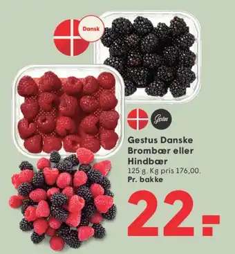 Gestus Danske Brombær eller Hindbær