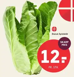 SPAR Friskhøstet kål fra Torup Bakkegård tilbud