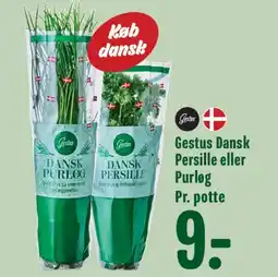 Min Købmand Gestus Dansk Persille eller Purløg tilbud