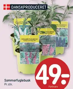 REMA 1000 Sommerfuglebusk tilbud
