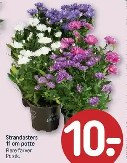 REMA 1000 Strandasters tilbud