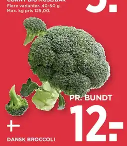MENY Dansk broccoli tilbud