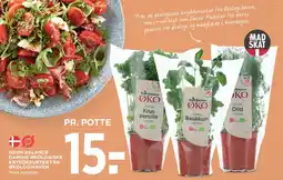 MENY Danske økologiske krydderurter i potte tilbud
