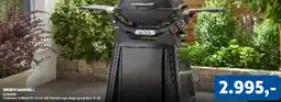 Davidsen Weber gasgrill tilbud