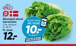 Bilka Økologisk dansk hjertesalat tilbud