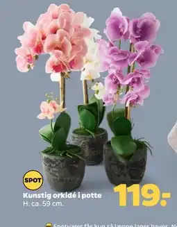 Netto Kunstig orkidé i potte tilbud