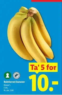Lidl Rainforrest bananer tilbud