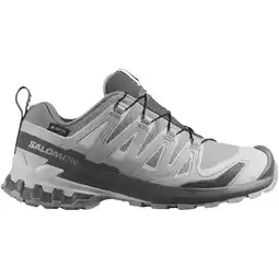 Sport 24 Salomon XA Pro 3D v9 GTX Vandresko Dame tilbud