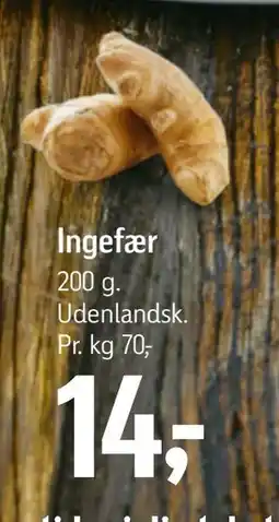 Føtex Ingefær tilbud