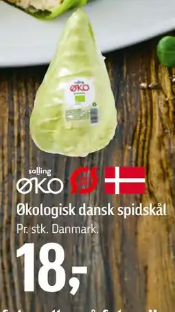 Føtex Økologisk dansk spidskål tilbud