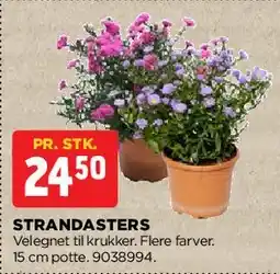 jem & fix Strandasters tilbud