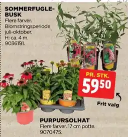 jem & fix SOMMERFUGLEBUSK tilbud