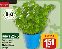 REWE DE REWE Bio Deutschland/ Niederlande: Bio Basilikum tilbud