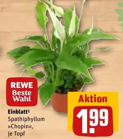 REWE DE Einblatt tilbud