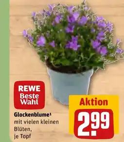 REWE DE Glockenblume tilbud