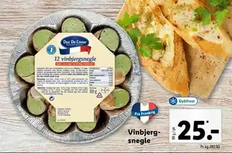 Vinbjergsnegle