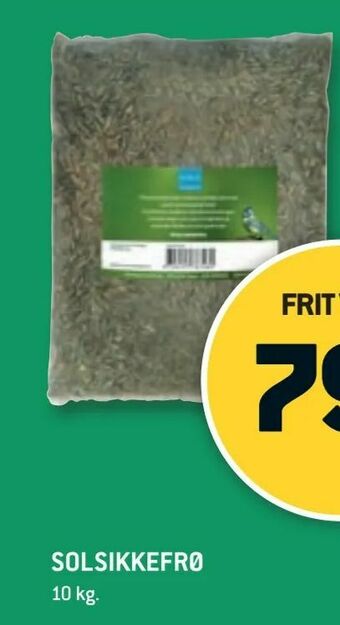 XL-BYG Solsikkefrø tilbud