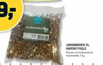 XL-BYG Jordnødder til havens fugle tilbud