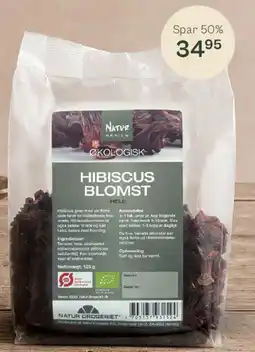 Helsam Hibiscus Blomst tilbud