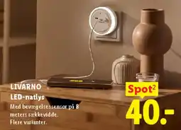 Lidl LIVARNO LED-natlys tilbud