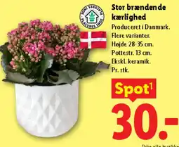 Lidl Stor brændende kærlighed tilbud