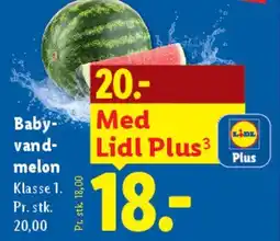 Lidl Baby-vandmelon tilbud