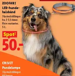 Lidl ZOOFARI LED-hundehalsbånd tilbud