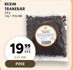 Scandinavian Park REXIM TRANEBÆR tilbud