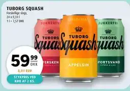 Scandinavian Park TUBORG SQUASH tilbud