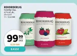 Scandinavian Park REKORDERLIG tilbud