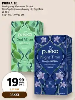 Scandinavian Park PUKKA TE tilbud