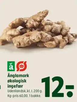 Coop 365 Änglamark økologisk ingefær tilbud