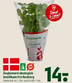 Coop 365 Änglamark økologisk basilikum fra Rosborg tilbud