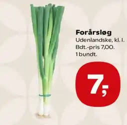 SuperBrugsen Forårsløg tilbud