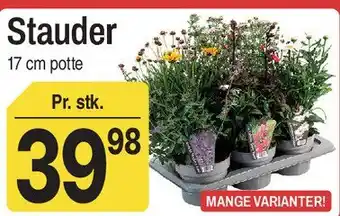 Stauder