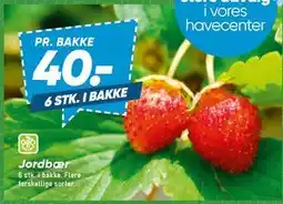 Bilka Jordbær tilbud