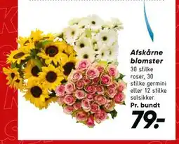 Bilka Afskårne blomster tilbud