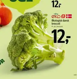Føtex Økologisk dansk broccoli tilbud
