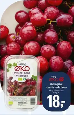 Føtex Økologiske stenfrie røde druer tilbud
