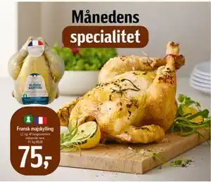 Fransk majskylling