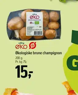 Føtex Økologiske brune champignon tilbud
