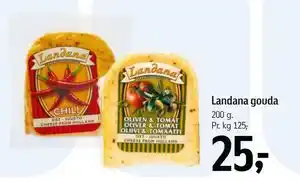 Landana gouda