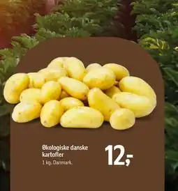 Føtex Økologiske danske kartofler tilbud
