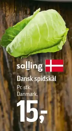 Føtex Dansk spidskål tilbud