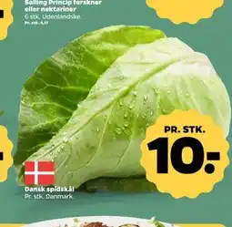 Netto Dansk spidskål tilbud