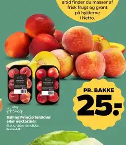 Netto Salling Princip ferskner eller nektariner tilbud