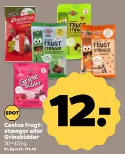 Netto Castus frugtstænger eller Grinebidder tilbud
