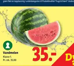 Lidl Vandmelon tilbud