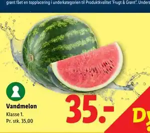 Vandmelon