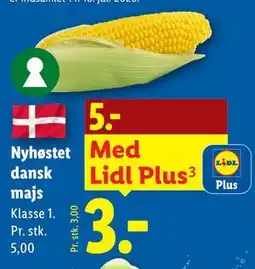 Lidl Nyhøstet dansk majs tilbud